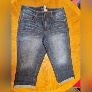 Faded Glory Women's Dark Blue Ankle Jeans